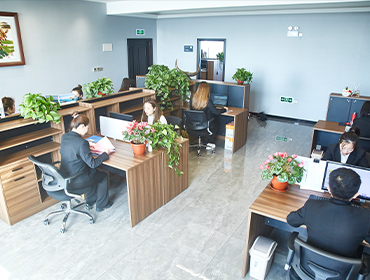 Bazhou City Zoe Trading Co.,Ltd. 